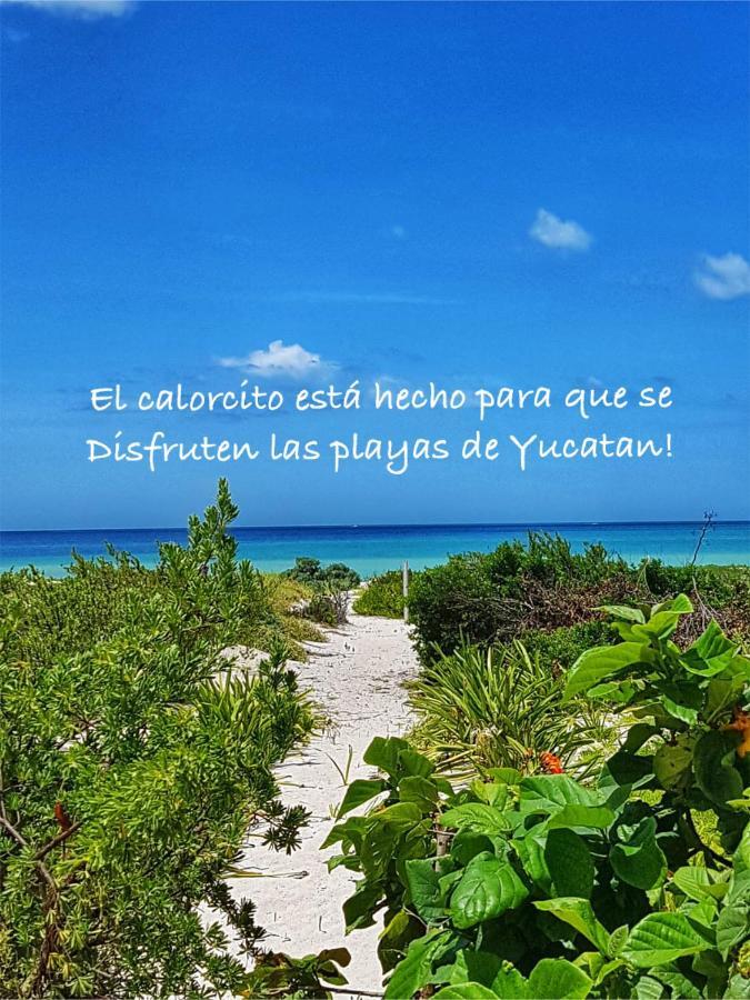 La Casa Del Mangle Βίλα Pueblo Pueblo Chicxulub Εξωτερικό φωτογραφία